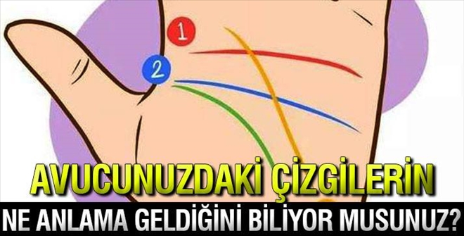Avucunuzdaki çizgilerin ne anlama geldiğini biliyor musunuz?