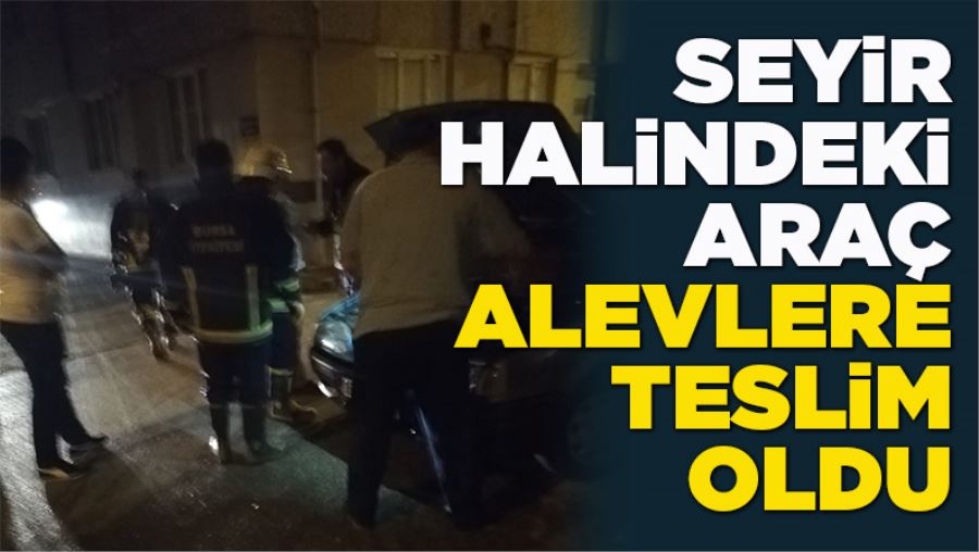 SEYiR HALiNDEKi ARAÇ ALEVLERE TESLiM OLDU