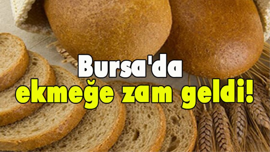 Bursa