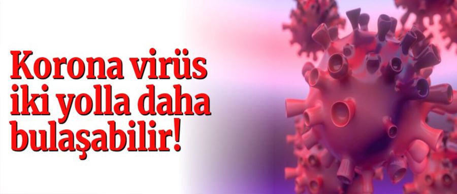 Koronavirüs iki yolla daha bulaşa bilir!