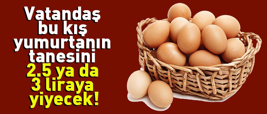 YUMURTA’DA ZAM BEKLENTİSİ