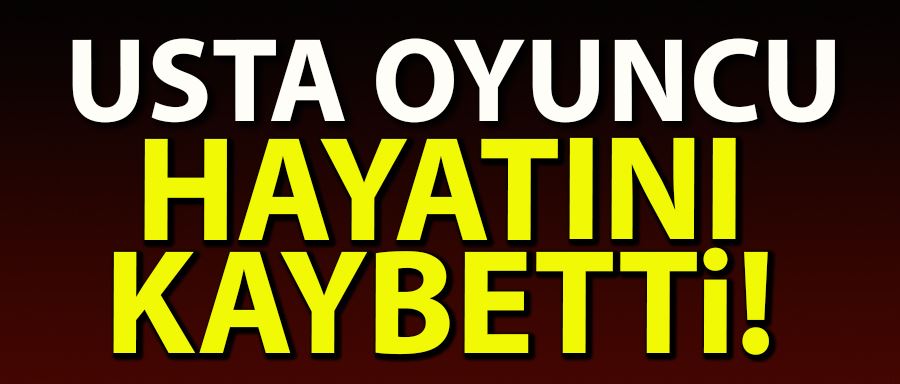 KAYA AKARSU HAYATINI KAYBETTİ