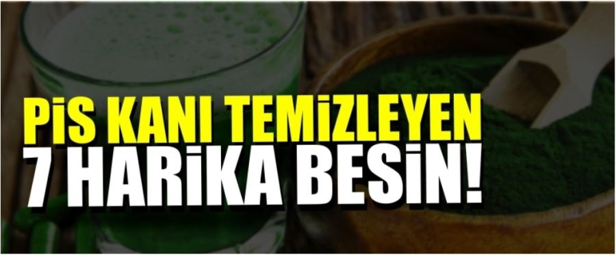 VUCÜTTAKİ PİS KANI TEMİZLEYEN 7 HARİKA BESİN