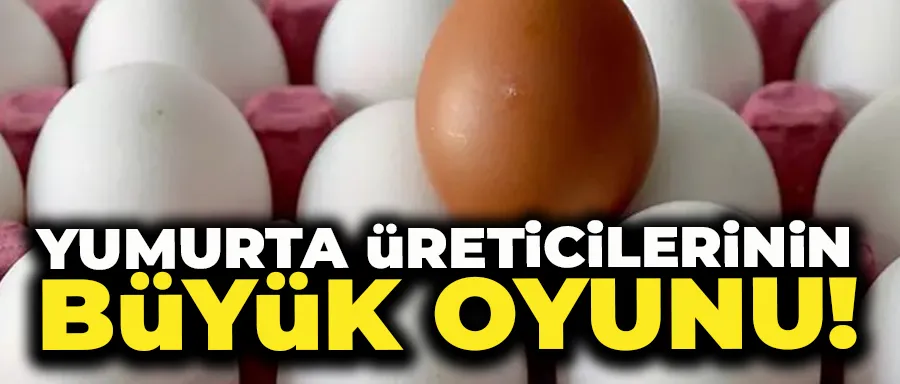 Yumurta üreticilerinin büyük oyunu!
