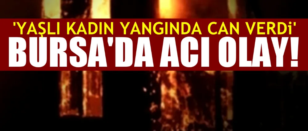 Bursa