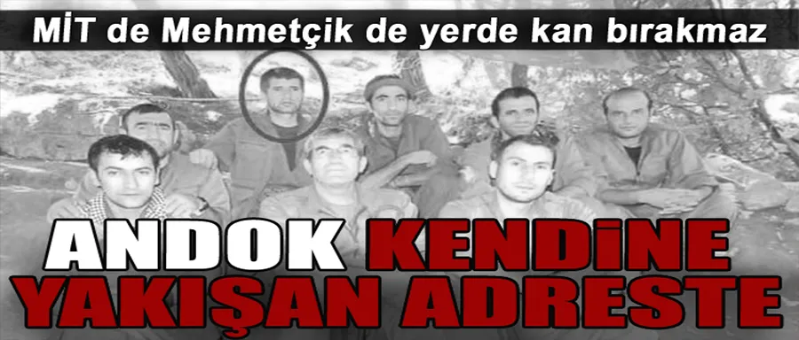 Şehitlerimizin kanı yerde kalmadı: MİT