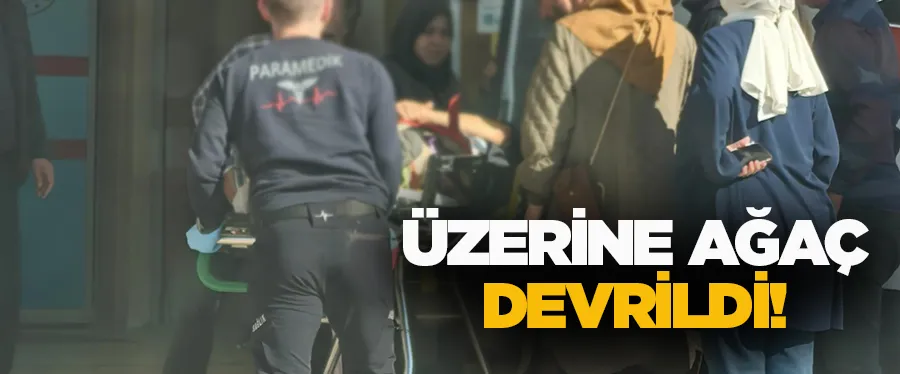 Üzerine ağaç devrildi!