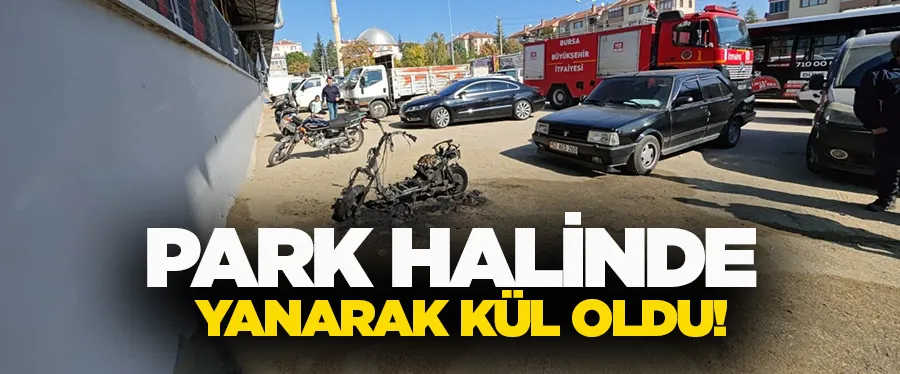 PARK HALİNDE YANARAK KÜL OLDU!