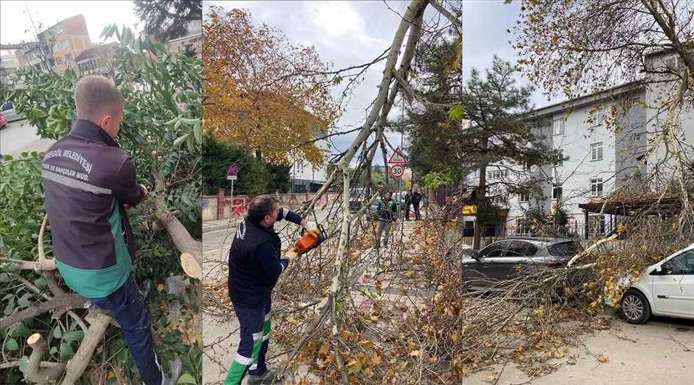 İnegöl Belediyesi’nde Lodos Mesaisi