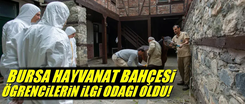 Erasmuslu öğrenciler Bursa Hayvanat Bahçesi’nde