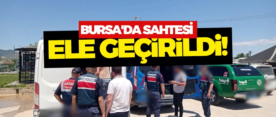 Bursa’da 3 bin litre sahte zeytinyağı ele geçirildi