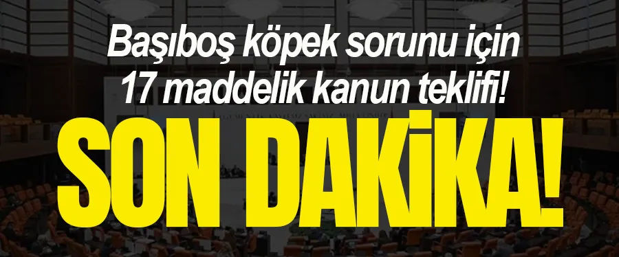 Başıboş köpek sorunu için 17 maddelik kanun teklifi! 