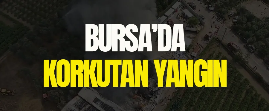 Bursa’da korkutan yangın