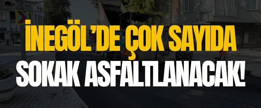 Zemci Şahin