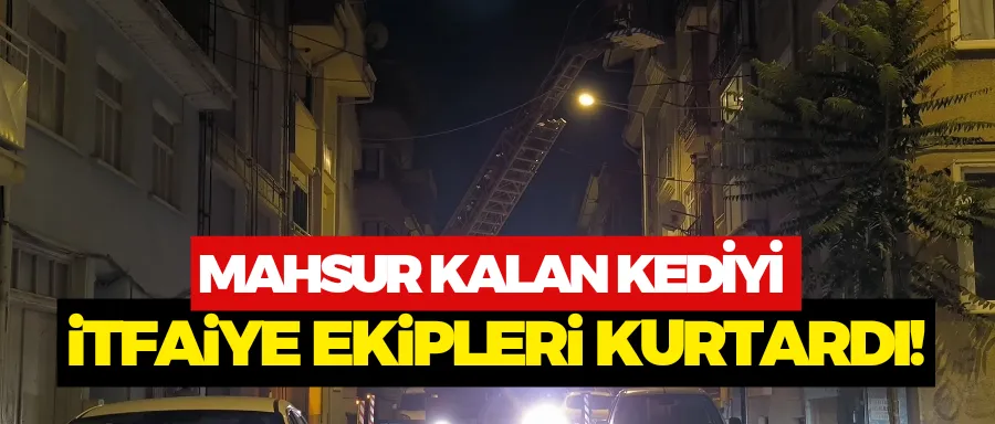 Mahsur kalan kediyi ekipler kurtardı 