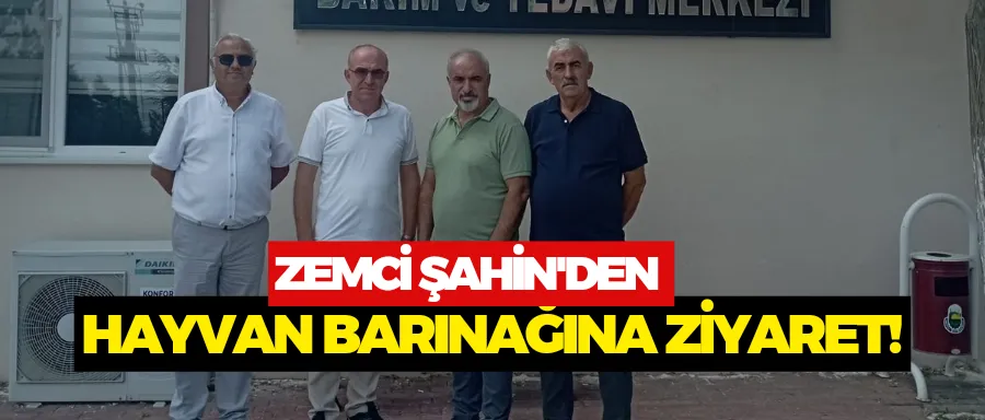 Zemci Şahin
