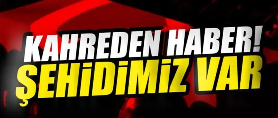 Şehidimiz var!