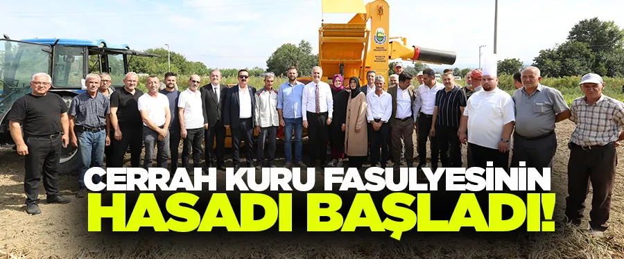 Cerrah Kuru Fasulyesinin Hasadı Başladı