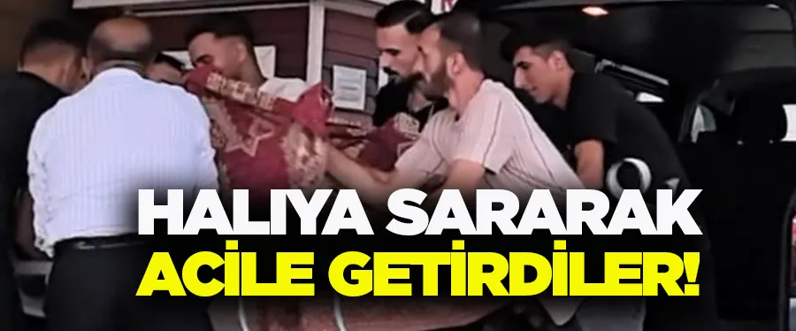 Halıya sararak acile getirdiler!