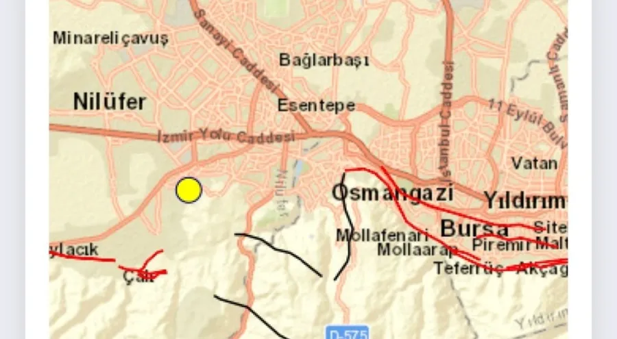 Bursa
