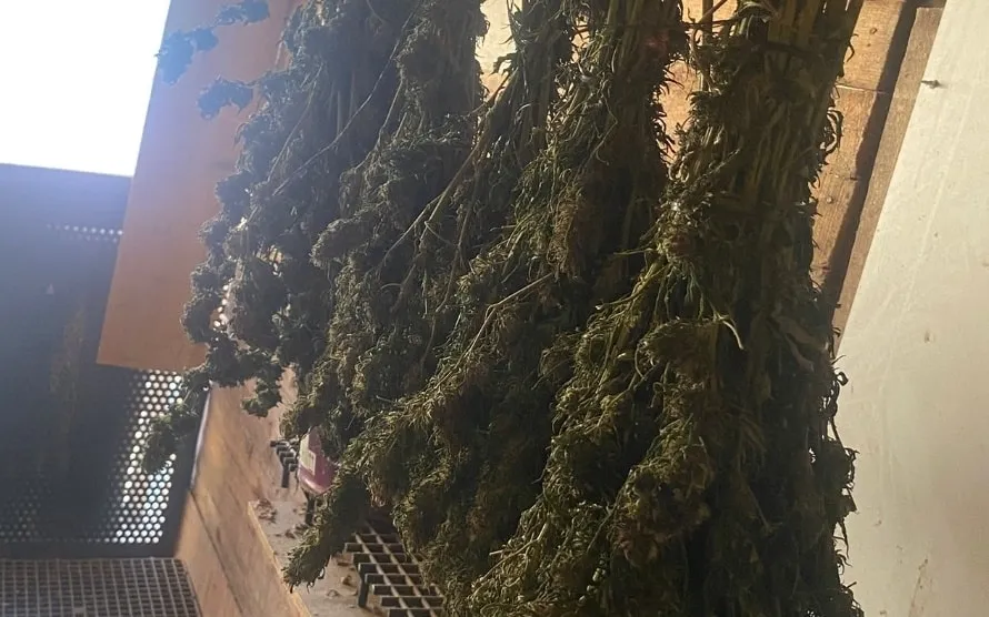 İnegöl’de Jandarmadan Uyuşturucu Operasyonu