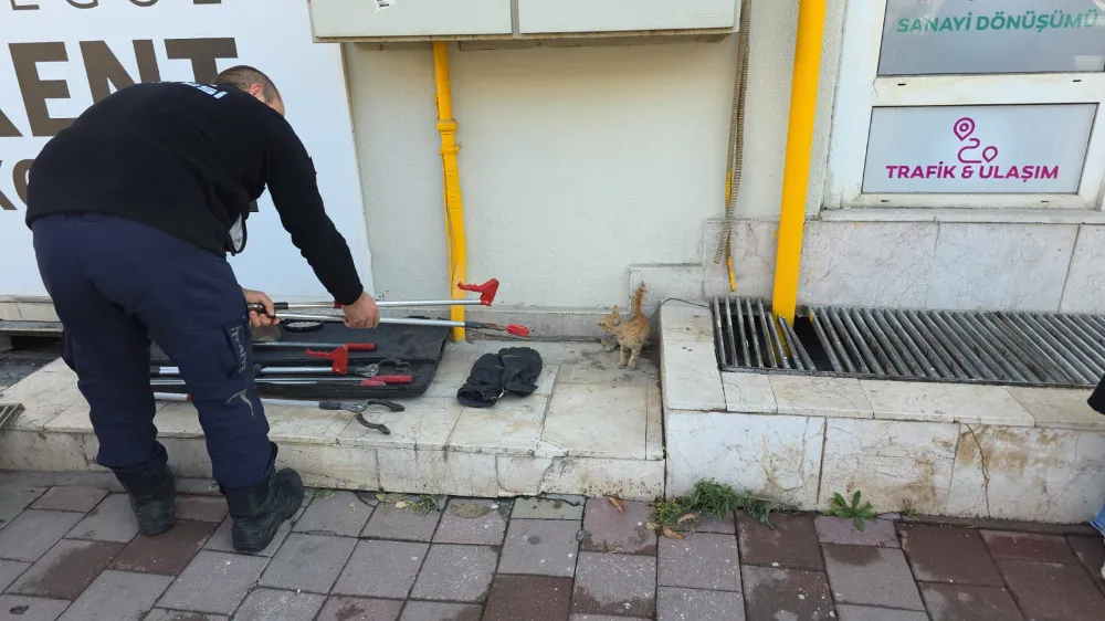 Mazgal Altında Mahsur Kalan Kedi Kurtarıldı