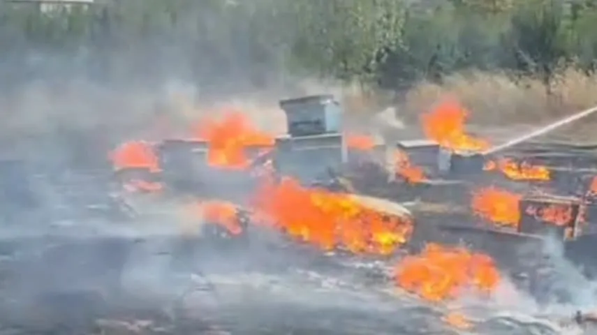Ortaköy’de Otluk Yangını Arı Kovanlarına Sıçradı