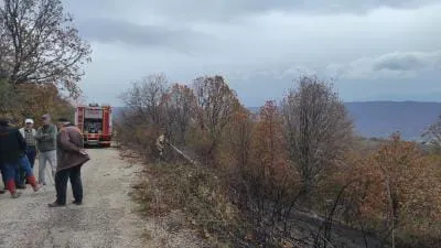 İnegöl Babaoğlu Mahallesi’nde Orman Yangını!