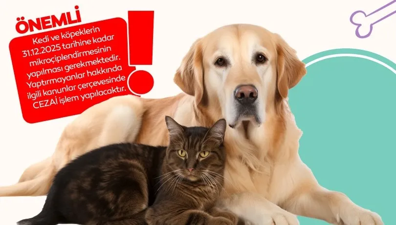 İnegöl Belediyesi’nden Evinde Kedi-Köpek Besleyenlere Mikroçip Uyarısı
