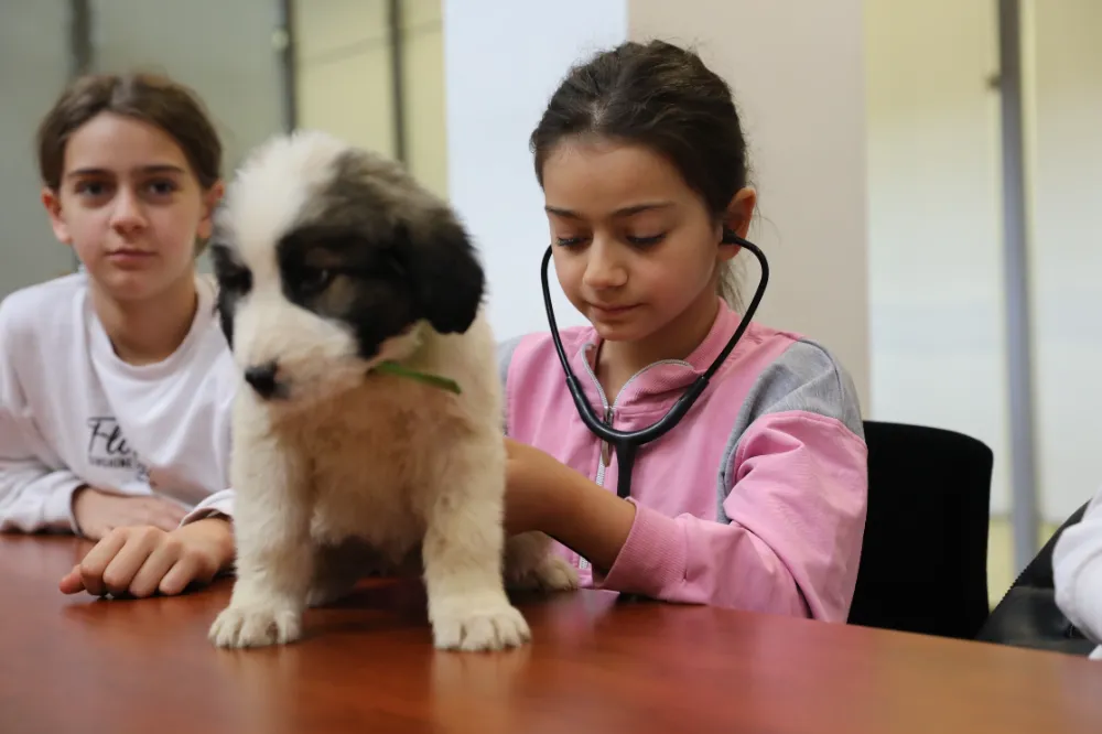  Bursa’da minik veterinerler görev başında