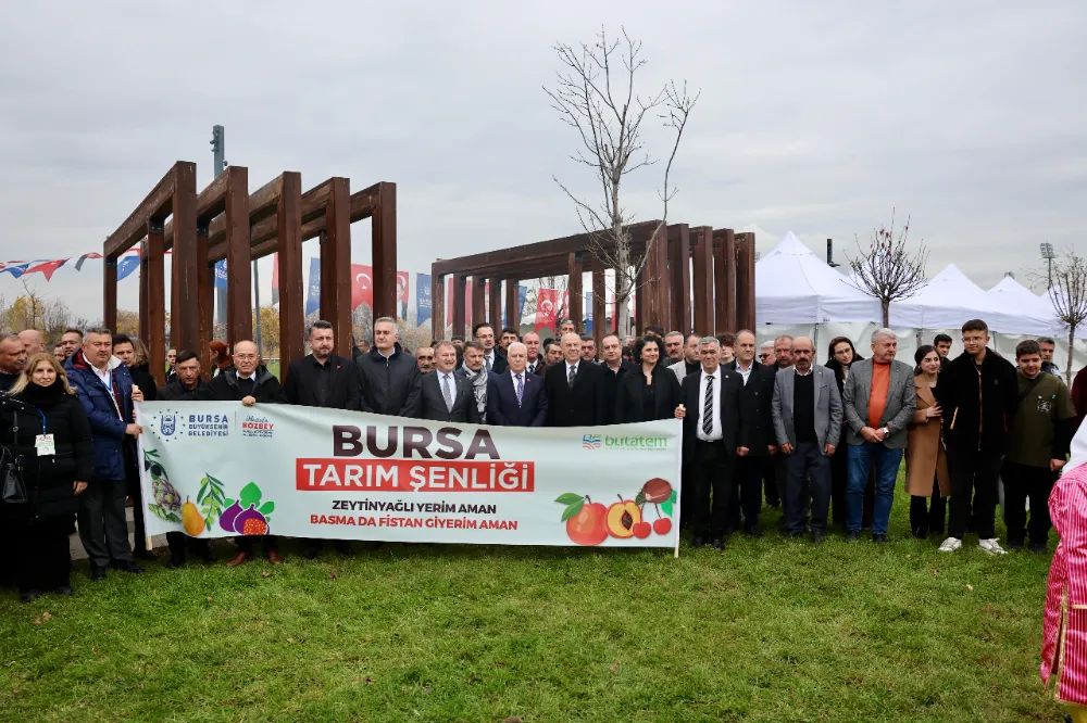 Bursa