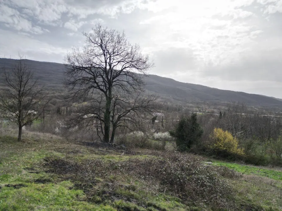 Kurşunlu Mahallesi