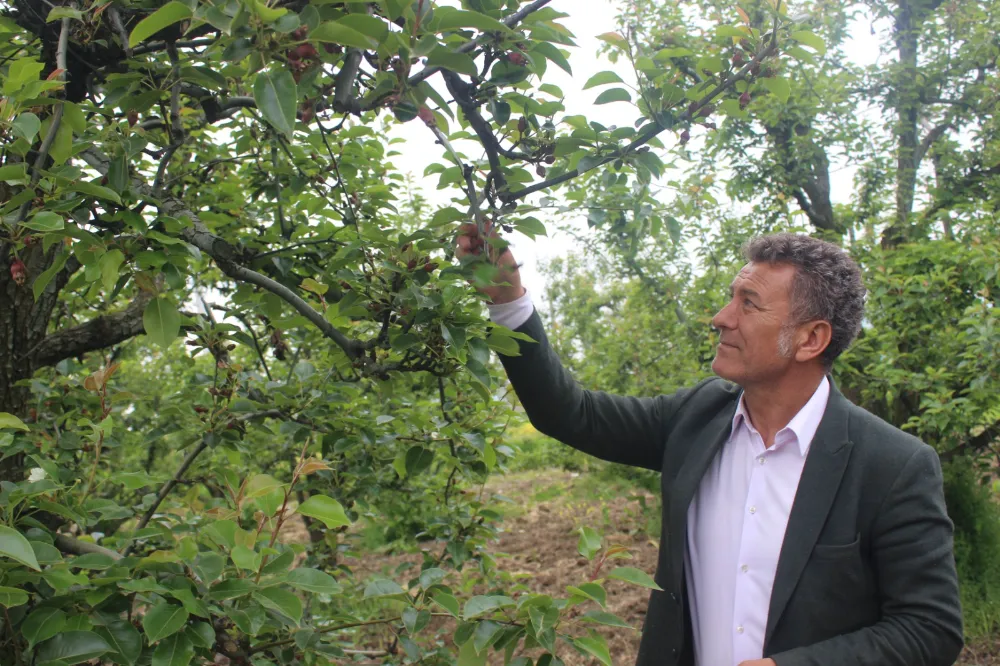 Orhan Sarıbal: “İnegöl’de Tarımsal Don Çiftçiyi Vurdu, Hızlı Destek Şart”