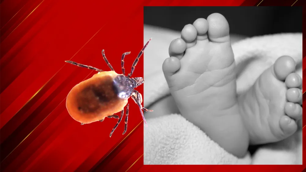Kene yapışan 1,5 yaşındaki bebek öldü!