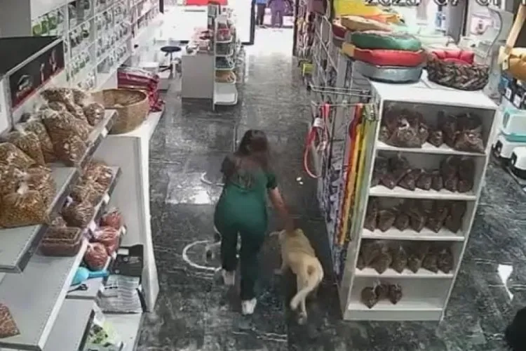 Deprem Anında İnsanlık Örneği: Serum Takılı Köpeği Unutmadı