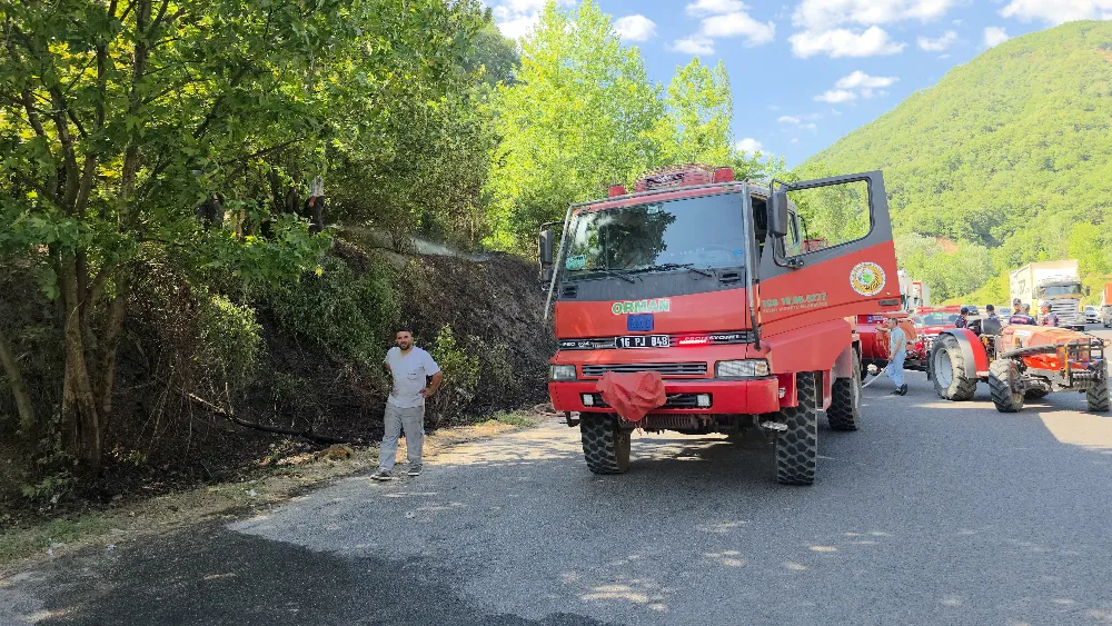 Mezitlerde  Yangın Ormana Sıçradı!