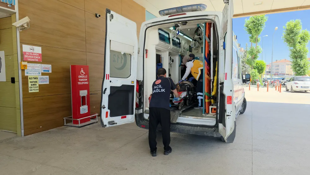 Ağaç Budarken Merdivenden Düştü, Hayatını Kaybetti