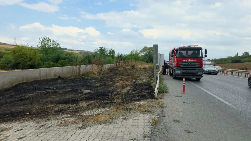 Ankara-Bursa karayolu kenarındaki otluk alanda yangın