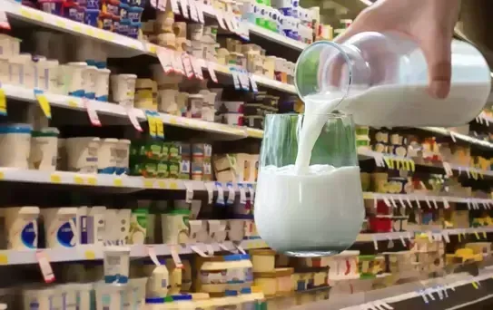Rekabet Kurulu, Ayca Süt Ürünleri hakkında soruşturma başlattı