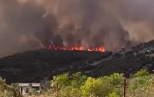 YENİŞEHİR’DE ORMAN YANGINI