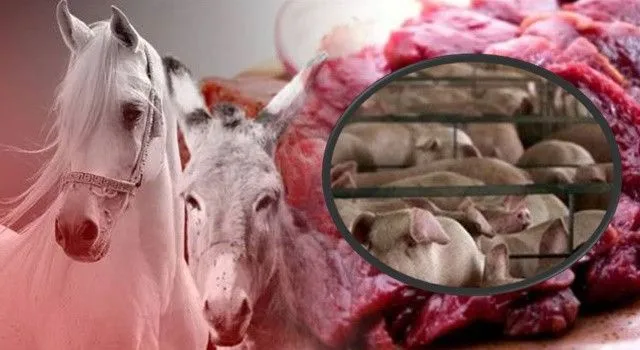 Gıda Denetimlerinde Skandal Tespitler: 1,5 Milyar Lira Ceza