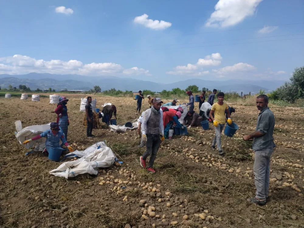 Cumhurbaşkanlığı Kararı: İnegöl’de Zirai Don Zararları Karşılanacak