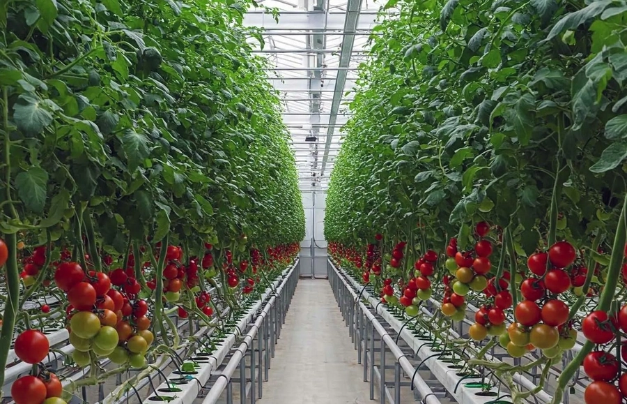 Yusuf Şehitoğlu İnegöl’ün Yol Haritasını Açıkladı: “5 Sektörde Dönüşüm Şart”