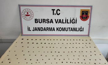 Bursa