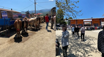 İnegöl Kayapınar Mahallesi’nde Kurban Festivali düzenlenecek