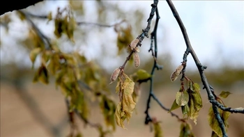 İnegöl’e bir uyarı daha… Aman dikkat!
