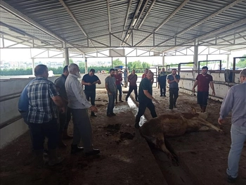 İnegöl’de Nerelerde Kurban Kesilebilecek?
