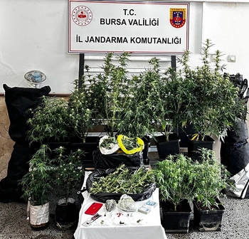 Bursa’da Uyuşturucu Operasyonu: Kilolarca Esrar ve Skunk Ele Geçirildi