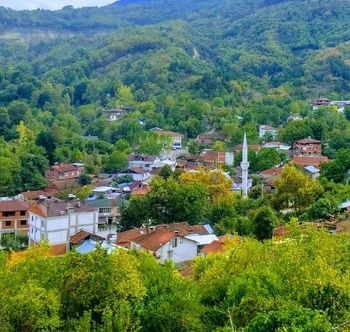 Çayyaka Mahallesi
