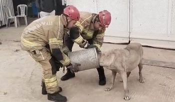 İnegöl’de Dozer Filtresine Kafası Sıkışan Köpeği İtfaiye Kurtardı
